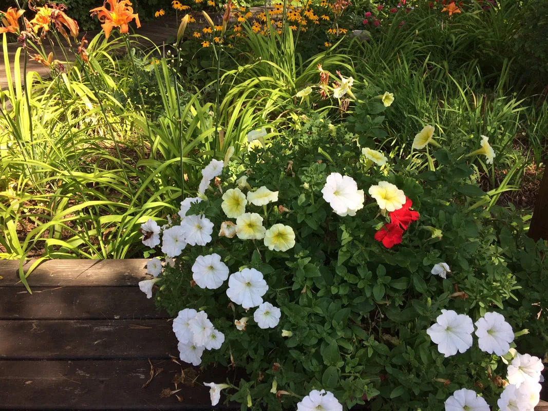 Third picture of flowers